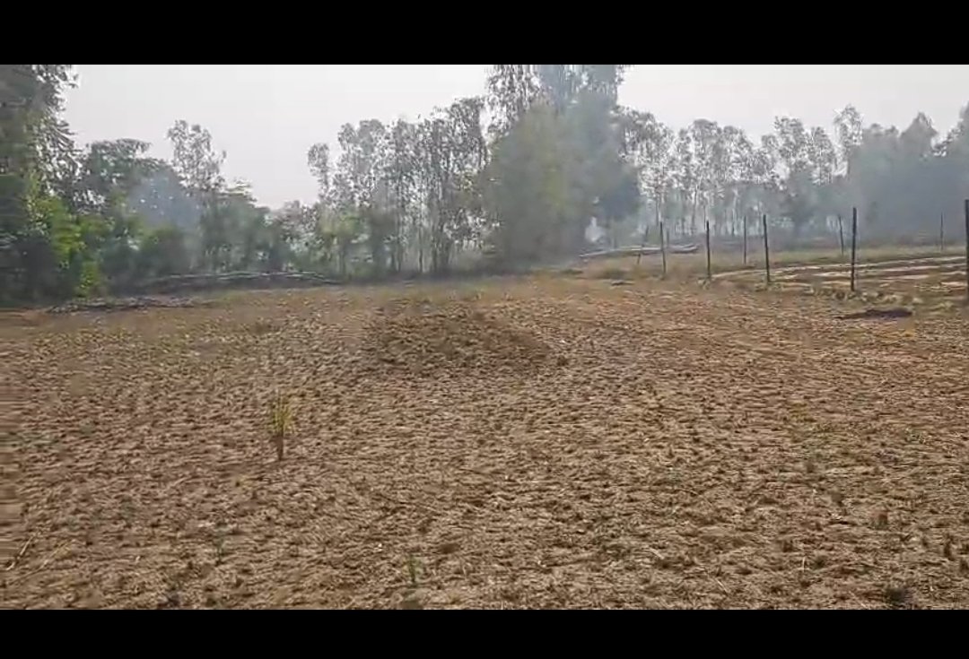 5.33 bigha Land in. Ramnagar