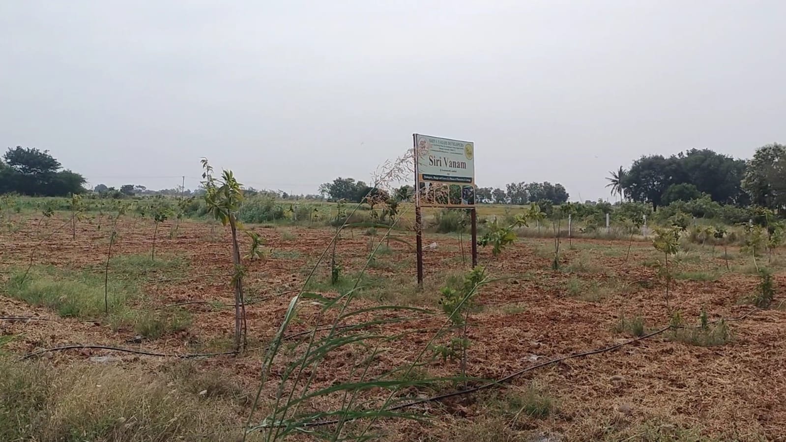 FRAMLAND PLOTS FOR SALE ALAIR