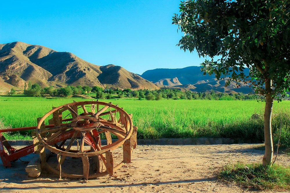Agricultural Land Investment in India: Benefits, Risks and Important Considerations