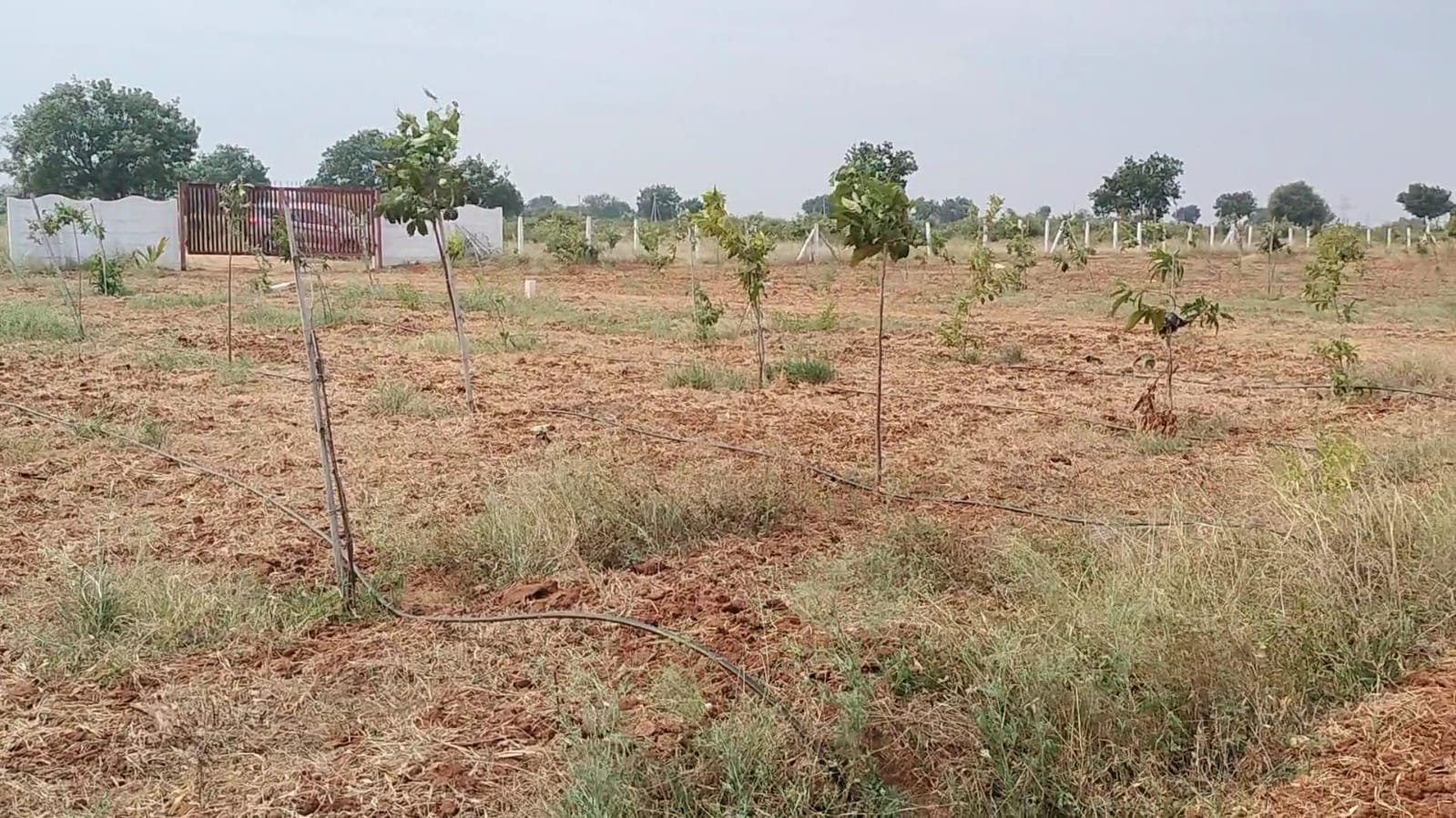 FRAMLAND PLOTS FOR SALE ALAIR