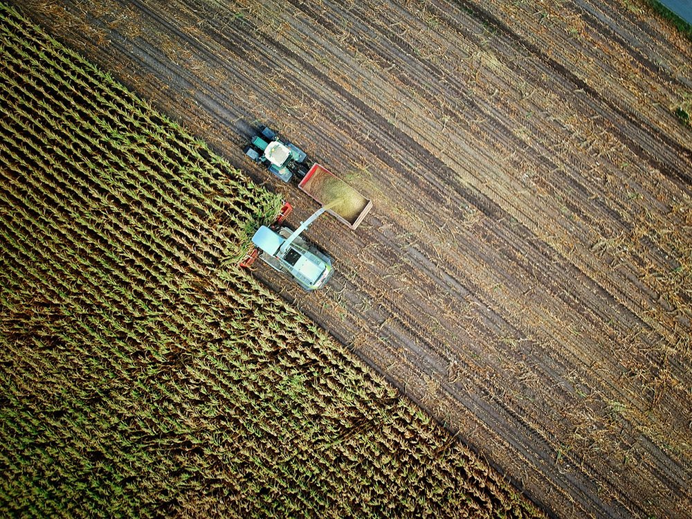 What Is the Difference Between Agricultural Land and Farmhouse Land in India?