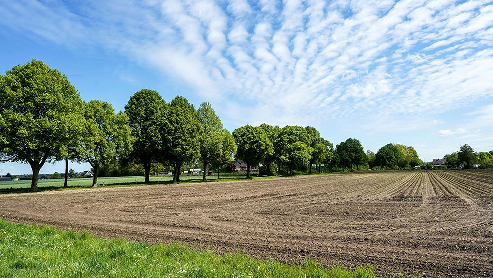 Agricultural Land for Sale in India: Complete Buying and Investment Guide