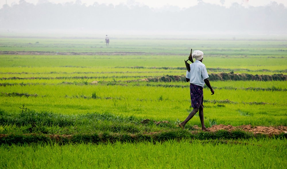 4 Acre Agricultural Land near Pune
