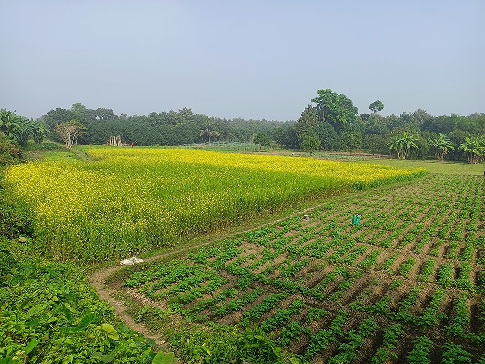 2 Acre Farmhouse Land near Lonavala, Pune
