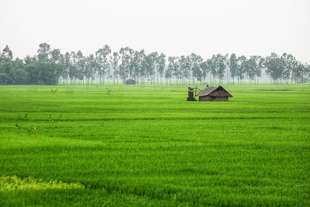 How to Find the Best Land for Sale in India Online