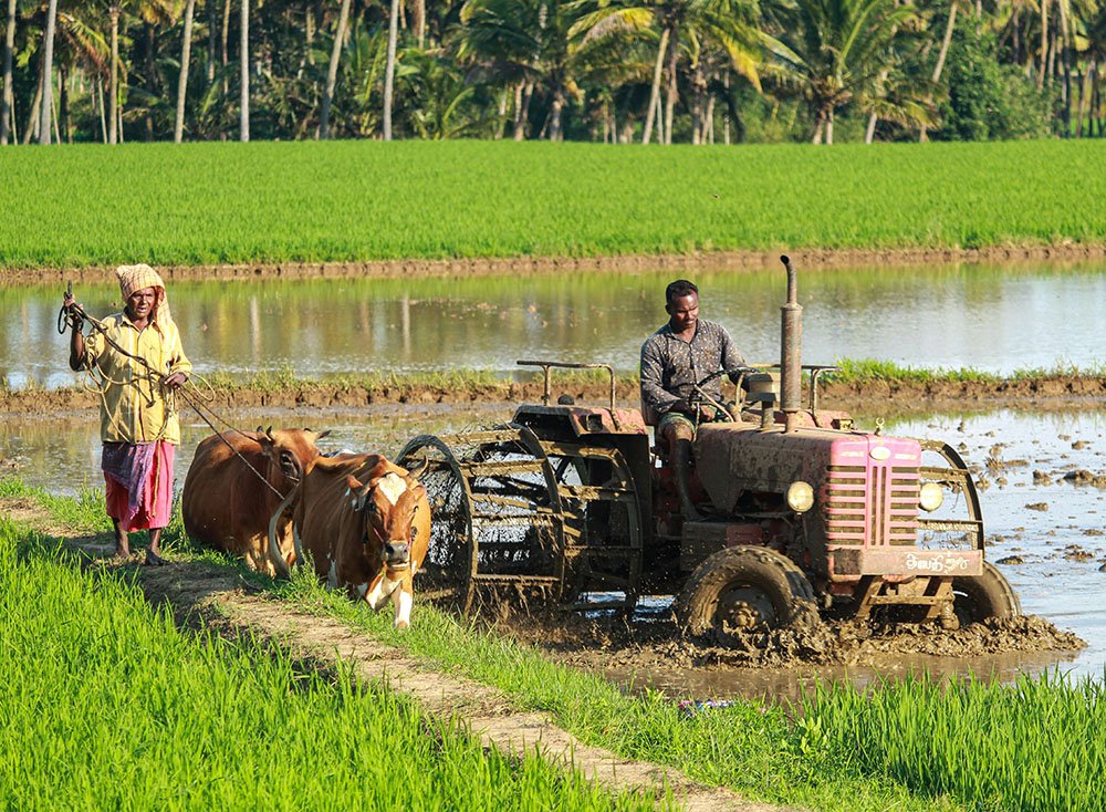 How to Buy Agricultural Land in India: Complete Guide to Farmland Purchase