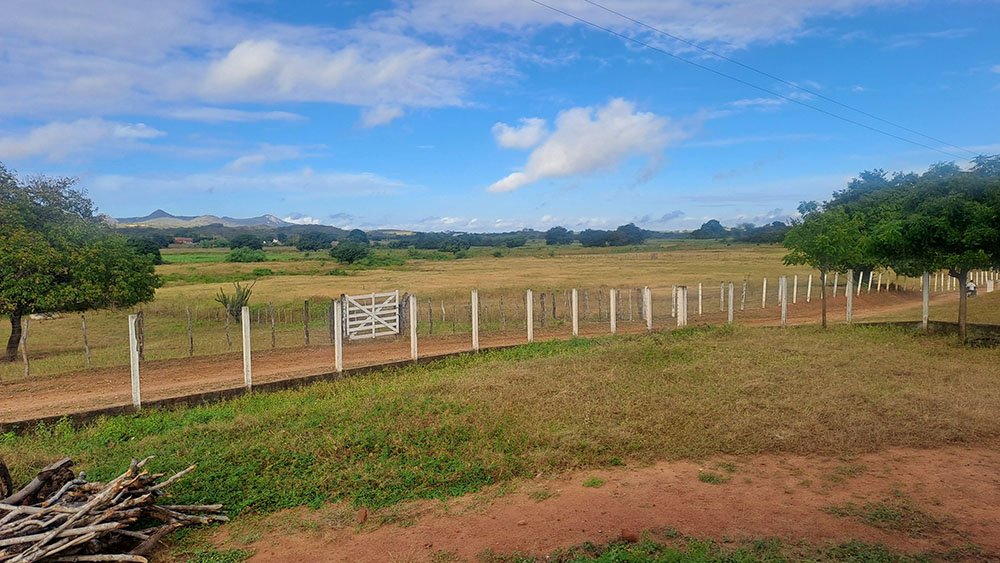 How to Find Land for Sale Online in India with LandBazaar.in